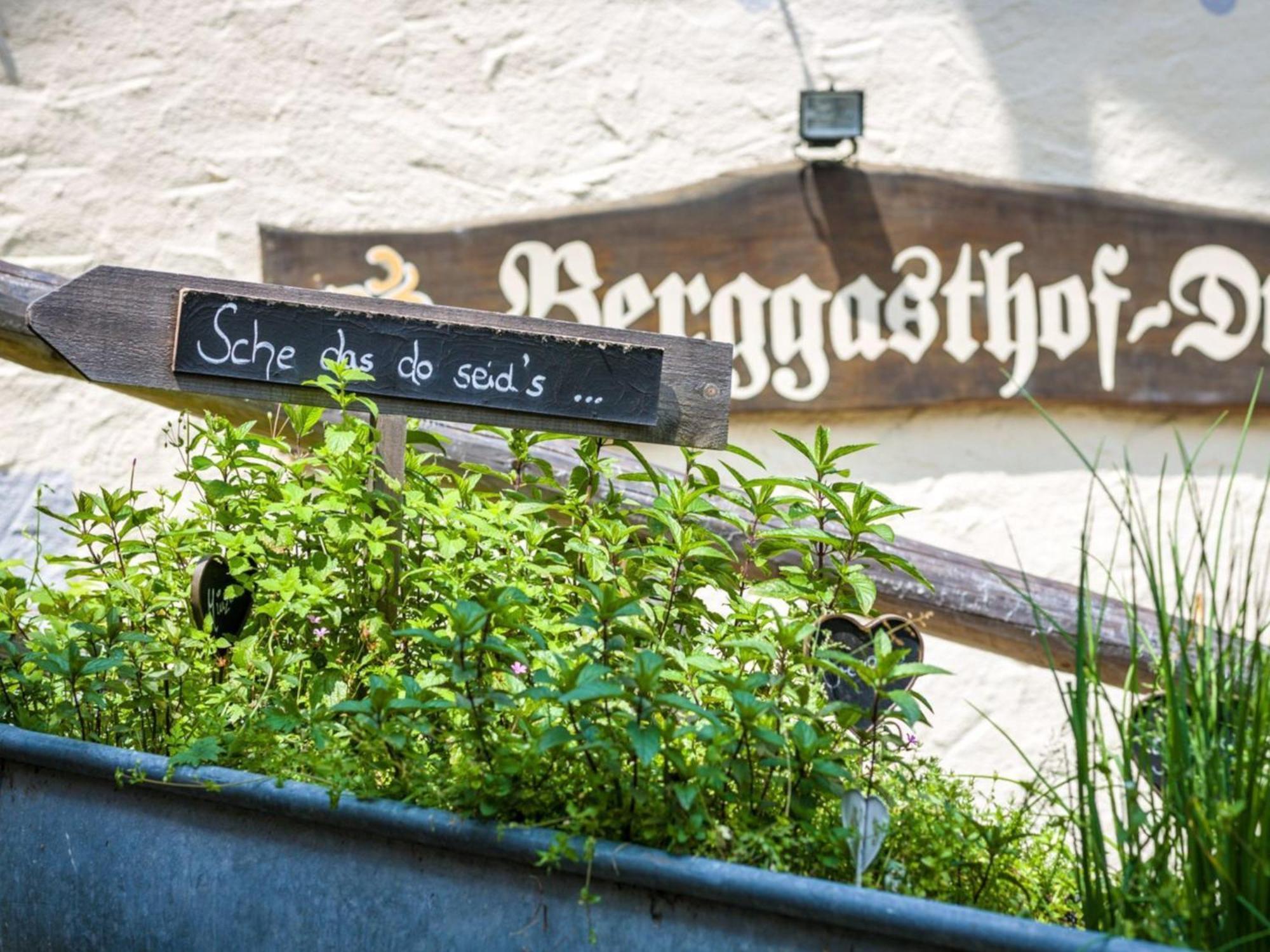 Berggasthof Hotel Duftbraeu I Ruhige Alleinlage I Mitten Im Gruenen Samerberg Eksteriør bilde